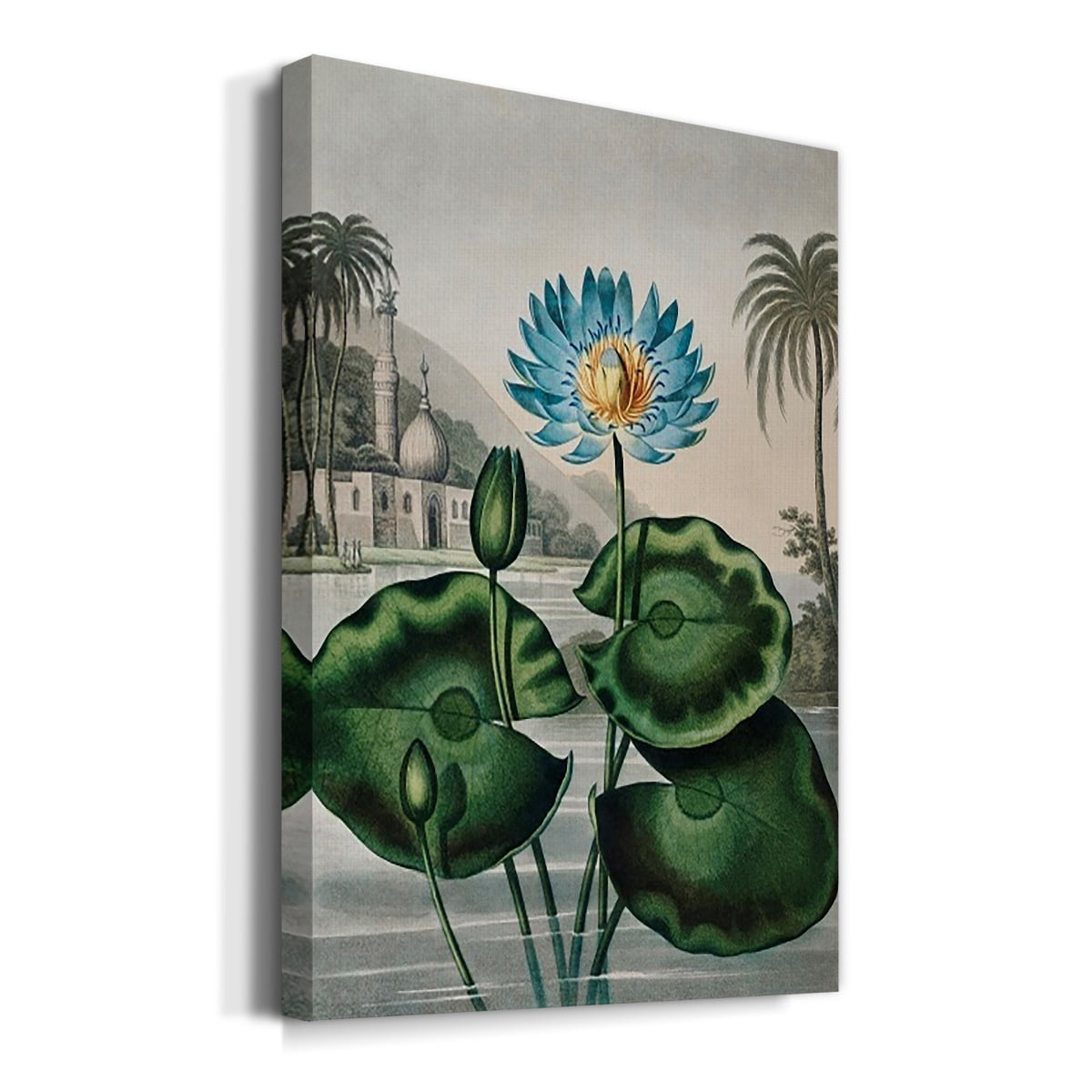 Temple of Flora IX Premium Gallery Wrapped Canvas - Ready to Hang