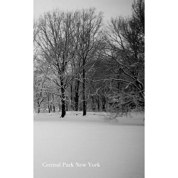 Central Park New York Journal: Central Park New York Blank Journal, (Paperback)