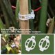 thumbnail image 4 of 150 Uds Clips para plantas, Clips para tomates, Clips para enredaderas, Clips de soporte para plantas trepadoras, enredaderas, tallos, trabajos de soporte para tomates, 4 of 4