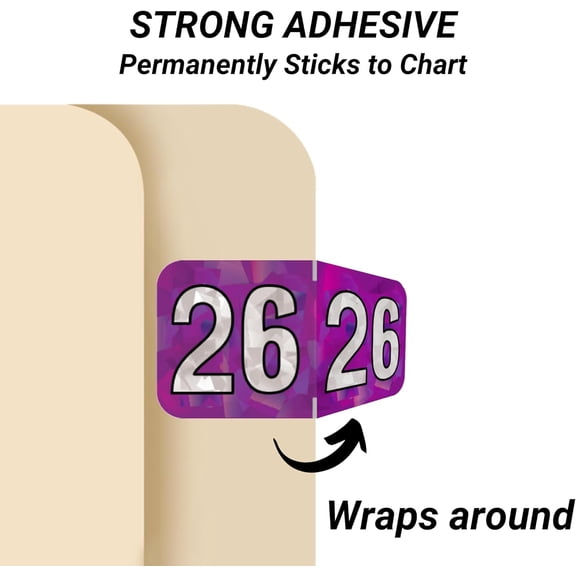 2026 Year Labels, 2026 Chart Stickers, Holographic Purple Colored, Made Year Label for End Tab File Folders, 500 Labels per Roll, 1 Roll, 3/4" x 1-1/2"