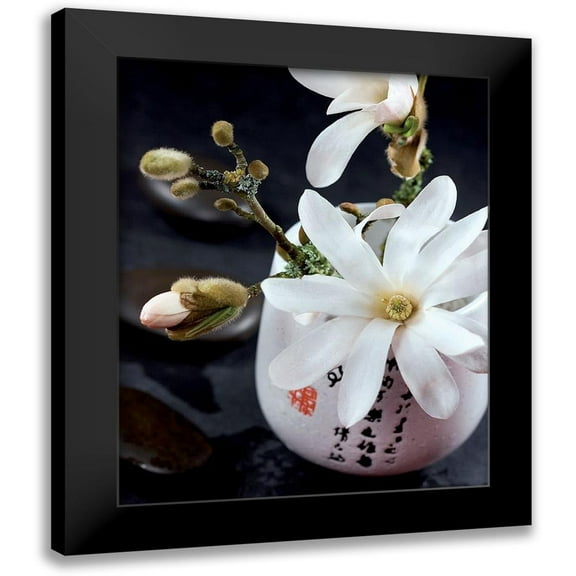 Beyler, Catherine 12x14 Black Modern Framed Museum Art Print Titled - Composition Zen - Magnolia Stellata 1