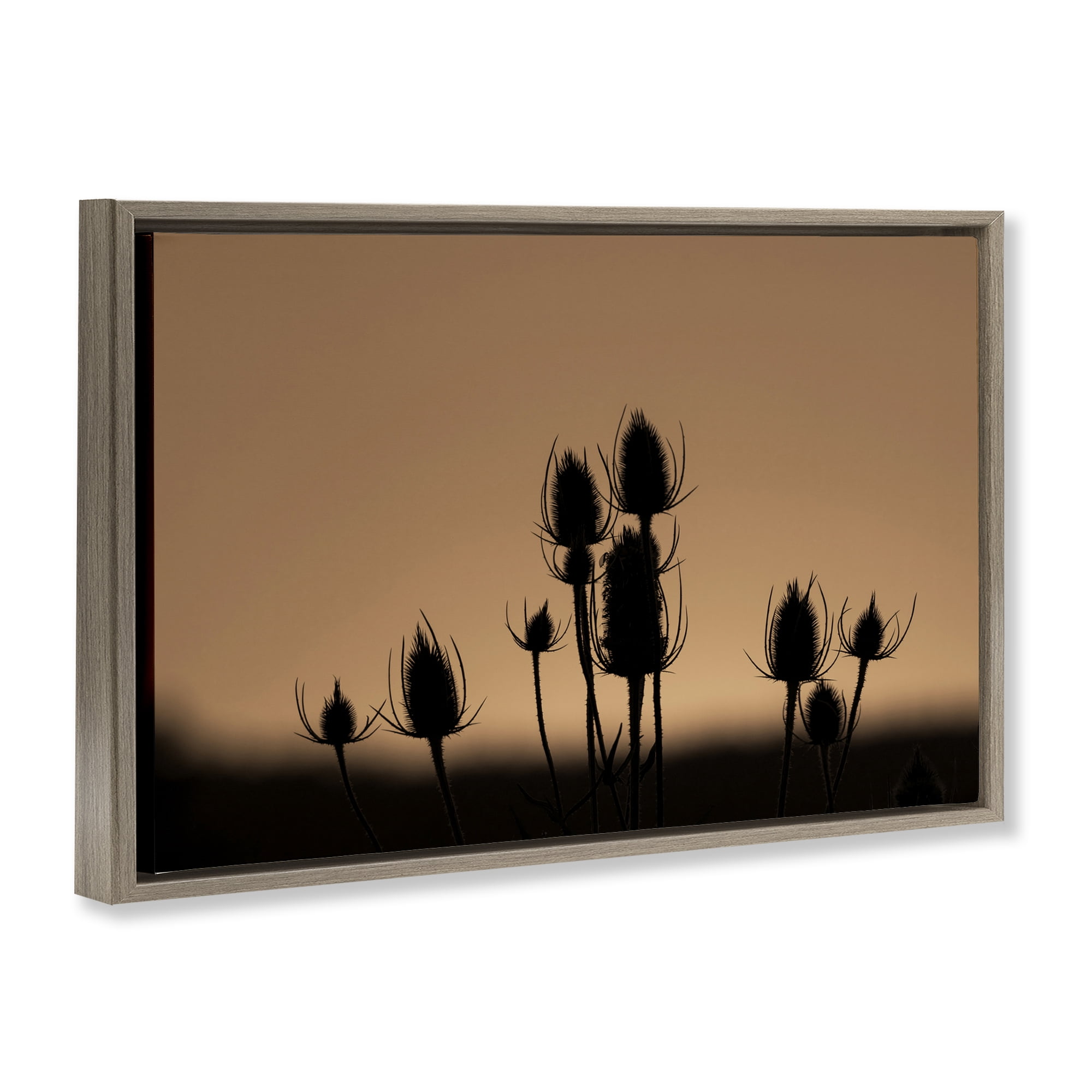 Stupell Industries Botanical Sprigs Silhouettes Plants & Flowers Photography Brown Floater Framed Canvas Art Print Wall Art, 25 x 17