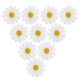 thumbnail image 3 of 10pcs pinzas para el cabello lindas margaritas girasol pernos de pelo pernos de pelo fresco para damas y niñas (blanco), 3 of 5