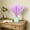 Pink, variant on 10 Artificial Pampas Grass, 16.9" Fluffy Faux Dried Pampas Grass Plumes for Boho Home Wedding Vase Decor, Purple, 1 Pack
