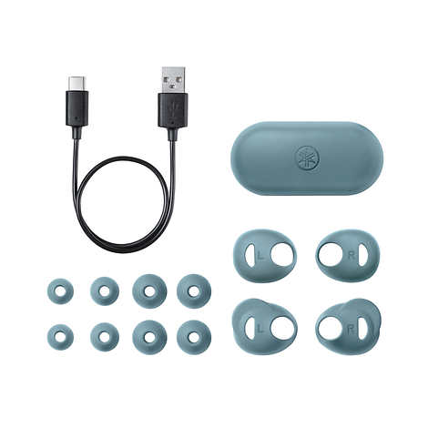 Sennheiser M3 IETW Momentum True 