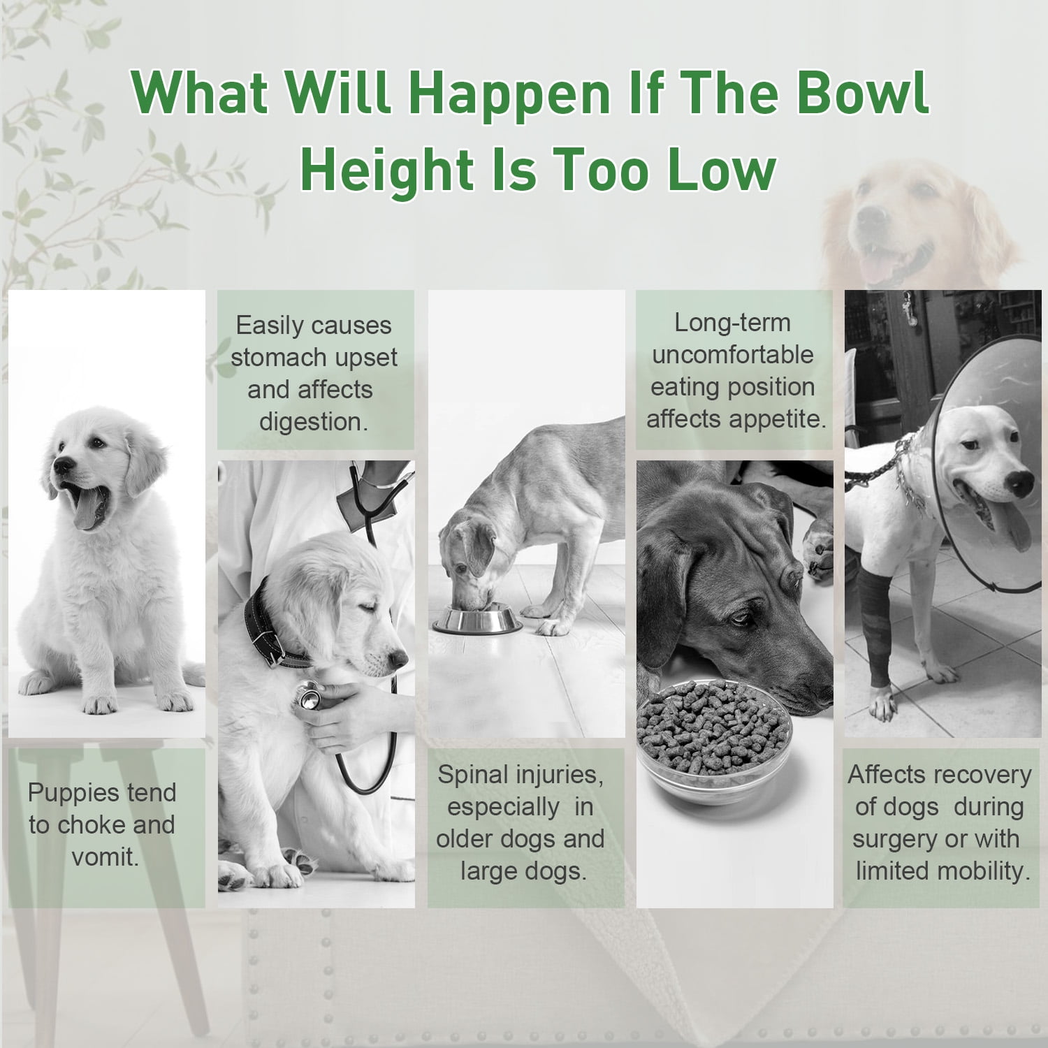 MOONORAH Elevated Dog Bowls, 2 in 1 Adjustable Raised Dog Bowl Stand with Stainless Steel Dogs Food Bowl & Slow Feeder Dog Bowls, 5 Heights for Small Medium Large Dogs Pets with Non-Slip Feet