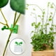 thumbnail image 3 of Clips Invisibles para Fijación Pared Plantas Trepadoras 10 Uds. (M), 3 of 9