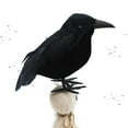 thumbnail image 6 of Halloween Black Feathered Crows Realistic Looking Decorative Birds for Indoor Outdoor Display, 6 of 6