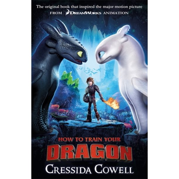 HOW TO TRAIN YOUR DRAGON 1 FILM TIE IN