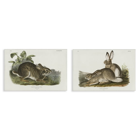 Stupell Industries Gentle Resting Cottage Rabbit Animals Painting Wrapped Canvas Art Print Wall Art, 24 x 16, Set of 2