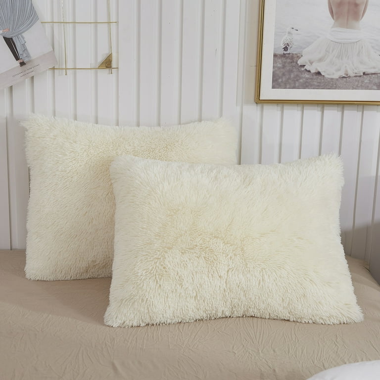 Luxury White Sham with Zipper Closure | Beddley Standard 2-Pack