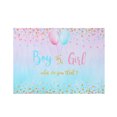 thumbnail image 1 of Boy or Girl Gender Reveal Photography Backdrop Baby Photo Background, 1 of 6
