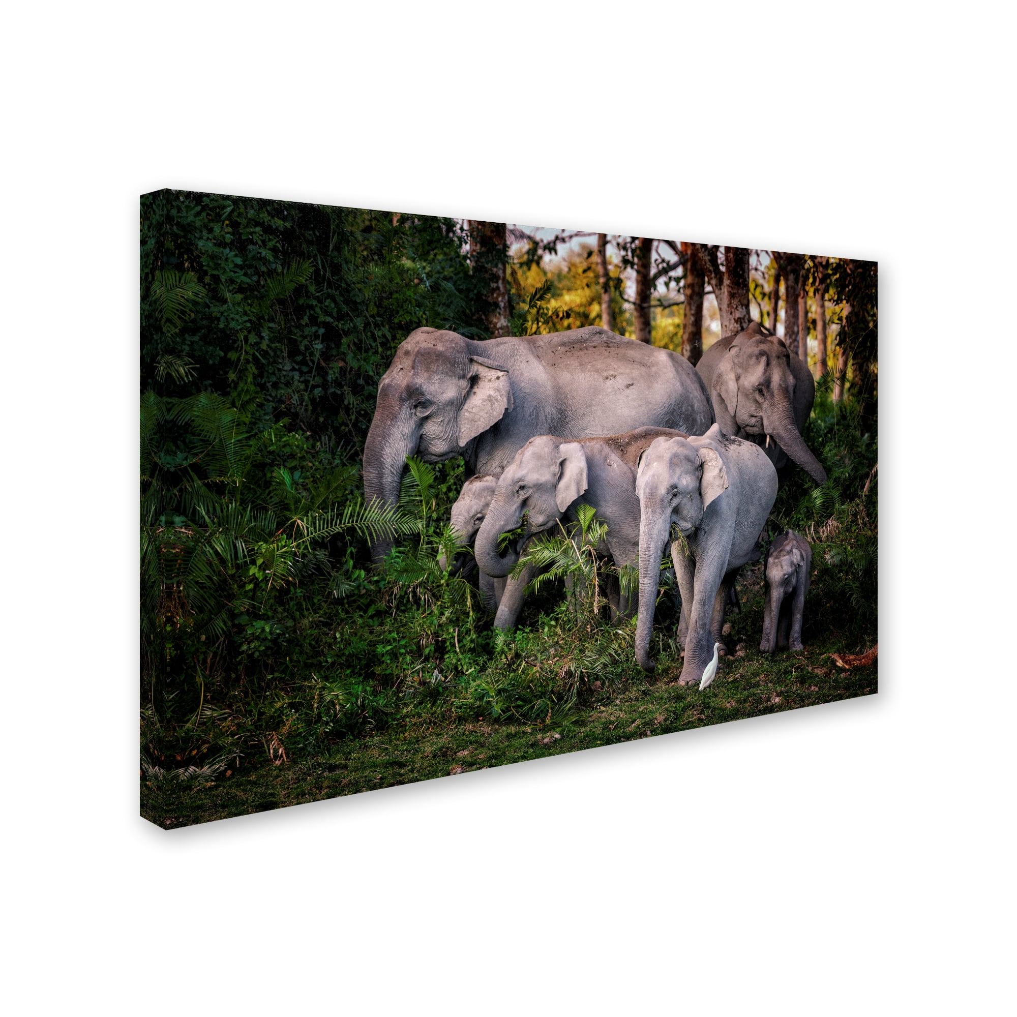 Trademark Fine Art 'Tasty Leaves' Canvas Art by Pavol Stranak
