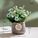 thumbnail image 2 of Flores artificiales falsas, plantas artificiales para interiores pequeñas, plantas artificiales para interiores y exteriores, decoración de plantas falsas para el hogar, sala de estar, cocina, dormito Afortunado Sencillez, 2 of 4