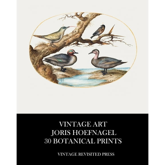 Vintage Art: Joris Hoefnagel 30 Botanical Prints, (Paperback)