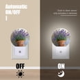 thumbnail image 4 of Night Light Plug into Wall,Dusk to Dawn Sensor Auto-On/Off for Bathroom, Hallway,Kids Room-Potted Lavender Plant With Purple Flowers, 4 of 4