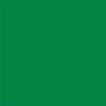 thumbnail image 4 of Playera Blusa De Capybara Con Una Hamburguesa Capibara Color Verde Talla Chica Marca Emil SaEs, 4 of 4