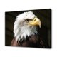 thumbnail image 1 of Póster de lienzo de águila americana de raptor, decoración de dormitorio, paisaje deportivo, decoración de oficina, regalo, estilo marco, 20 x 30 cm, 1 of 8