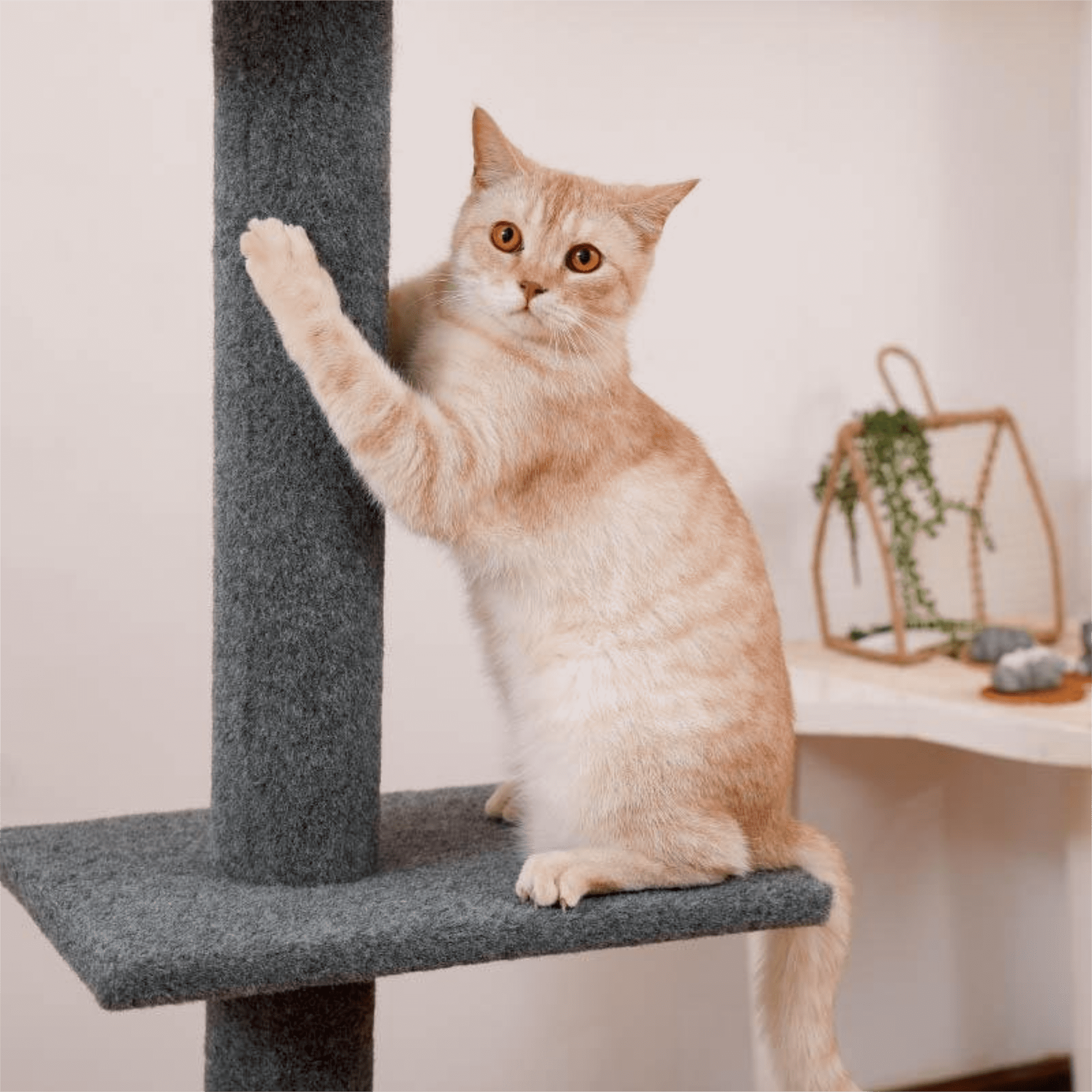 Kadyn 3-Tier Cat Tree Tower for Indoor Cats, Floor-to-Ceiling Cat Climbing Tree Modern Cat Tower 9 Feet (Adjustable 90"-108" Tall), Gray