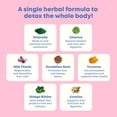 thumbnail image 4 of Extracto de cilantro Herbal Detox JoySpring DetoxZee, 30 ml, para niños, 4 of 8