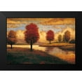 thumbnail image 2 of Williams, Gregory 14x11 Black Modern Framed Museum Art Print Titled - Serene I, 2 of 5