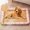 C, variant on RKSTN clot pad pad Dog Cool CoolPad For Dogs Sleeping Mats For Dog Self Cool Pet Blanket Outdoor Indoor Cool Mats