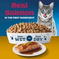 thumbnail image 4 of BLUE TASTEFULS Salmon & Gravy Adult Cat, 5lb, 4 of 11