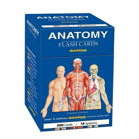 Anatomy Flash Cards (Best Anatomy And Physiology Flash Cards)
