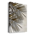 thumbnail image 2 of Palm I Premium Gallery Wrapped Canvas - Ready to Hang - 40 x 60, 2 of 9