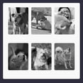 thumbnail image 4 of Tiberpet Bark Collar for Large Medium Small Dogs, Barking Collar,No Bark Collars for Dogs,Anti Bark Collar,Adjustable Barking Collar, Vibrating Dog Collar, 4 of 8