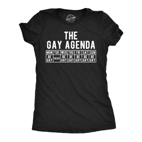 Womens Funny T Shirts The Gay Agenda Sarcastic Graphic Novelty Tee for Ladies Womens Graphic Tees