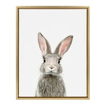 Kate and Laurel Sylvie Female Rabbit Framed Canvas Wall Art by Amy Peterson, 18x24 Gold, Baby Animal Home Decor