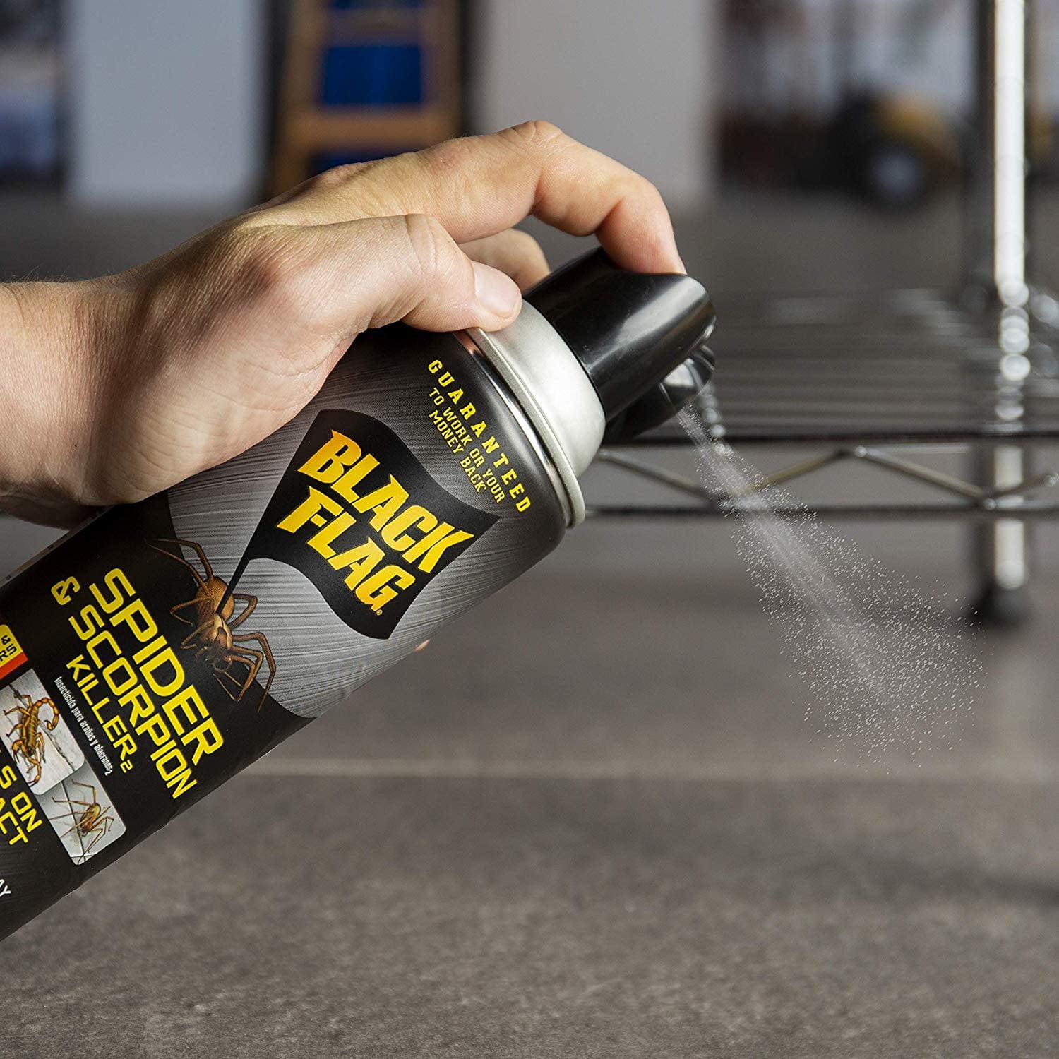 Black Flag Home Defense Indoor Bug Ant Spray, Spider & Scorpion