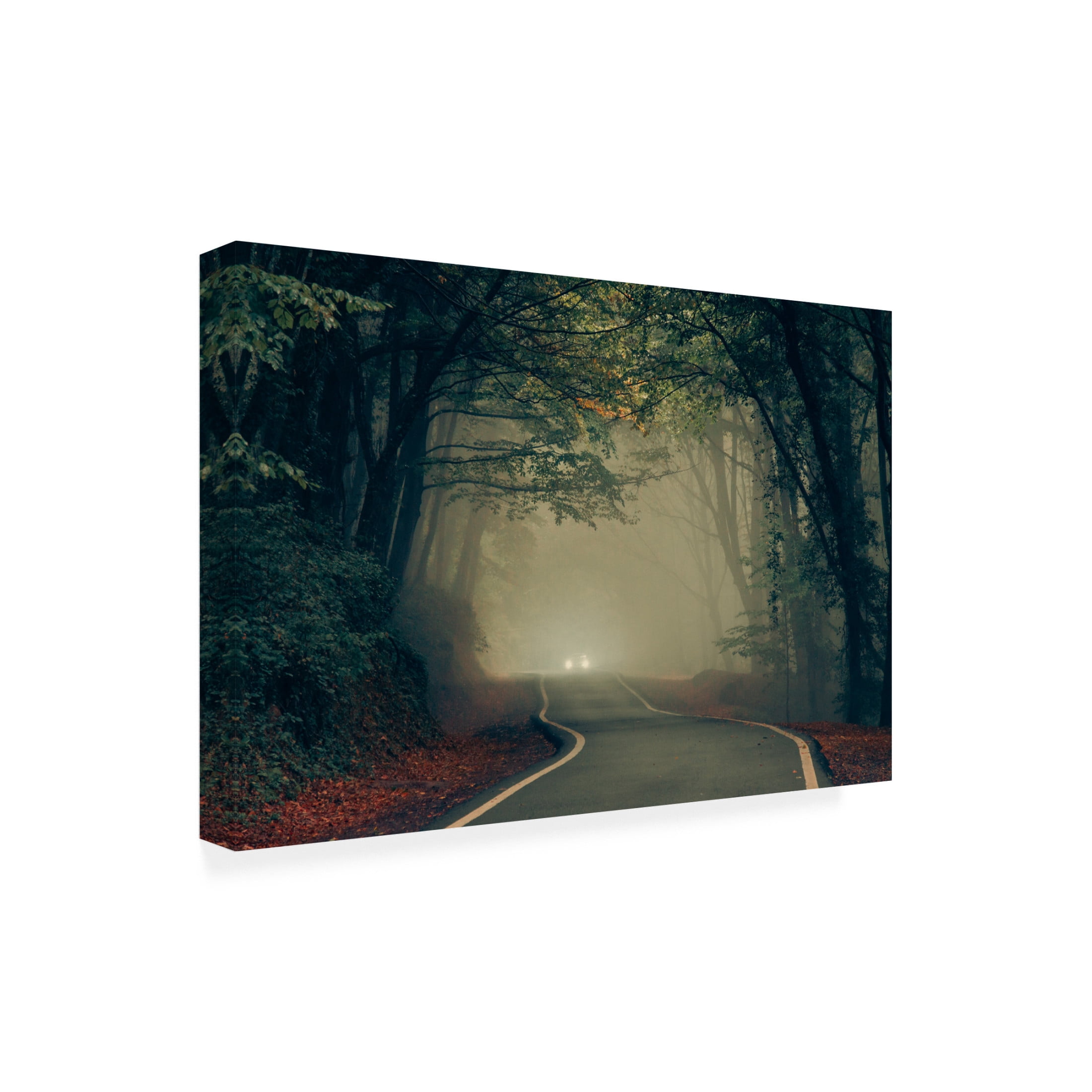 Trademark Fine Art Saskia Dingemans Tiryakioglu Untitled Canvas Wall Art