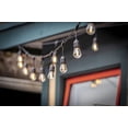 thumbnail image 4 of Half Off Ponds LumiNight Cafe String Lights, Color Changing LED, 12 Bulbs, 24 ft, 6W Kit, 4 of 5