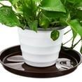 thumbnail image 4 of Beaupretty Round Plastic Plant Trays Coffee for Indoor Decorative Use 5Pcs, 4 of 5