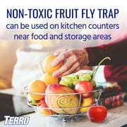 TERRO Fruit Fly Trap, 2 Pack