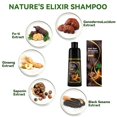 thumbnail image 3 of Champú colorante para cabello BELEZALIB Castaño oscuro 150 ml para cabello gris, 3 of 7