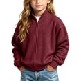 thumbnail image 5 of DJDLJWCJ Boys Zip Up Sweatshirts Stand Collar Long Sleeve Solid Color Sweatshirt Comforty Lightweight Full Zipper Jacket Wine Size 3T, 5 of 9