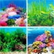thumbnail image 4 of Adhesivo 3D de fondo para acuario, pintura de paisaje oceánico de doble cara, póster con imagen para decoración de acuario, accesorio para pecera, 40 x 60 cm de alto x largo, profundidad, 4 of 5