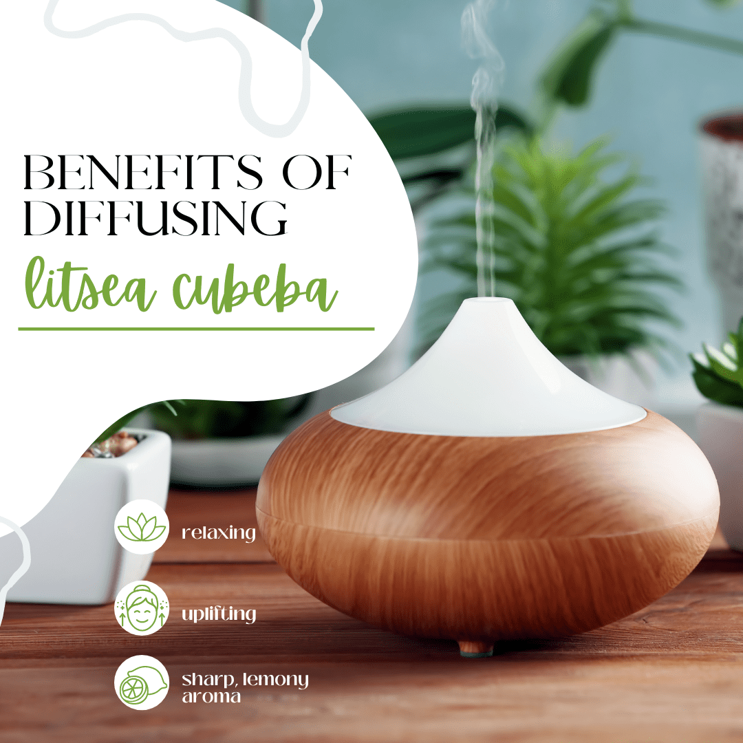 Litsea Cubeba Essential Oil – 8 fl oz | Natural Citrus Oil | Aluminum Bottle with Locking Cap | for DIY Room Mists, Scent Blends, Candle Crafting & Soap Formulation