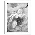 thumbnail image 2 of Art.com Delicate Blossom III Photo by Nicole Katano, White Frame Wall Art, 23" x 29", 2 of 5