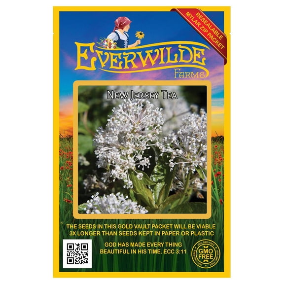 Everwilde Farms 50 New Jersey Tea Flower Seeds, Resealable Mylar Packaging