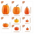 thumbnail image 5 of Clearance Under $9.9! 16PACK Fall Pumpkin Decor Set, Assorted Sizes & Colors for Thanksgiving & Halloween, Resin, (One Size, Orange), 5 of 5