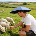 View all media
