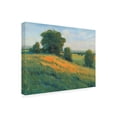 thumbnail image 2 of Tim OToole 'Poppy Fields I' Canvas Art, 2 of 3