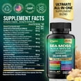 Zoyava Organic Sea Moss Blend, High Potency 19,445 MG, 15+ Ingredients