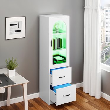 Dextrus 2-Drawer Lateral File Cabinet with LED Light , Large Filing ...