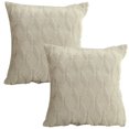 thumbnail image 1 of Juego de 2 fundas de almohada decorativas de terciopelo polar corto de felpa suave, funda de cojín cuadrada, 1 of 5