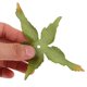 thumbnail image 5 of unbranded 30Ud Accesorios De Tela Para Ramos Artificiales Con Sepalos De, 5 of 6